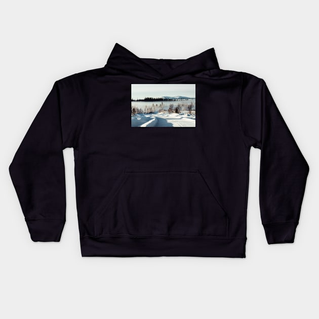 White Winter Landscape With Mysterious Fog on Sunny Day (Norway) Kids Hoodie by visualspectrum